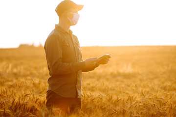 Farmer in a sterile mask with a tablet in their hands in a wheat field at sunset. Agro business. Agriculture and harvesting concept.