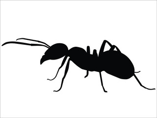 Ant black silhouette Vector illustration. Icon insect ant side view profile. Isolated on white background