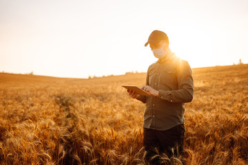 Farmer in a sterile mask with a tablet in their hands in a wheat field at sunset. Agro business....