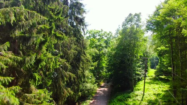 This is a Rising Aerial View of a Heavily Wooded Hillside in the Catskills