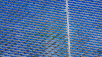 Background of solar panels array as seen from above the modern static solar power station. Green...