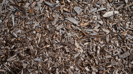 Sticks, bark texture mulch
