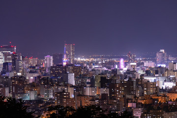 Fototapeta na wymiar 札幌市　旭山記念公園からの美しい夜景