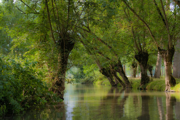 Marais Poitevin