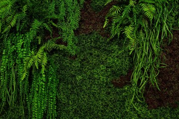 natural Green leaves wall background