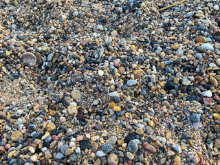pebbles texture on the beach