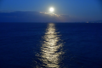 ムーンロード　東伊豆