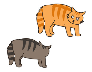 Hissing tabby cat. Cats bristle their fur to threaten their enemies. Isolated on white background.