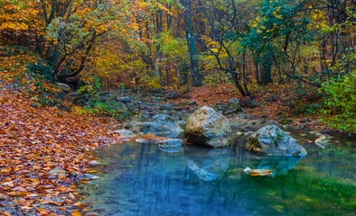 quiet small river rushing through mountain canyon, autumn mountain scene