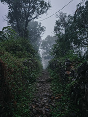 Trails n the mountains