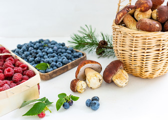Summer harvest - raspberries, blueberries, and porcini mushrooms