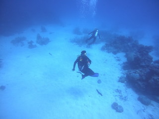scuba diver