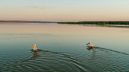 Two pelicans on lake Beleu, gagauzia, moldova, during sunrise