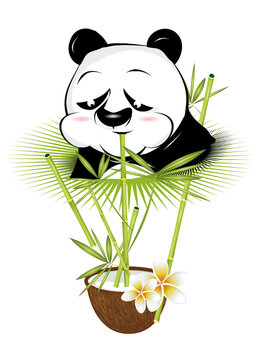 Panda Bär genießt einen tropischen Cocktail