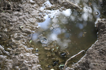 Wet mud , Dirty mud
