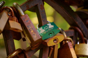 kłódki, kłódki zapięte na ogrodzeniu  ,miłość