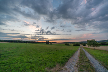 Naklejka premium Wheat field