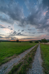 Fototapeta premium Wheat field