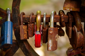 kłódki, kłódki zapięte na ogrodzeniu ,miłość © Marcin Łazarczyk