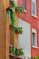 Fototapeta na wymiar Exterior of a Southern European style building with red flower ornamental plants on the windows