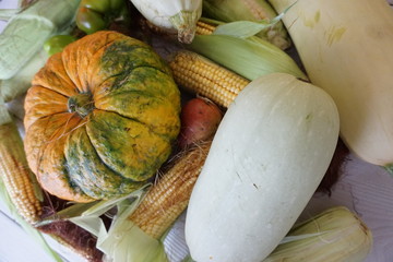Rich harvest of vegetables and fruits. Pumpkin, corn, pears and peppers and also zucchini.