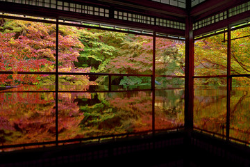 Fototapeta premium 瑠璃光院・庭園
