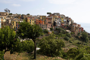 Fototapeta na wymiar view of the city Corniglia Italy Cinque Terre
