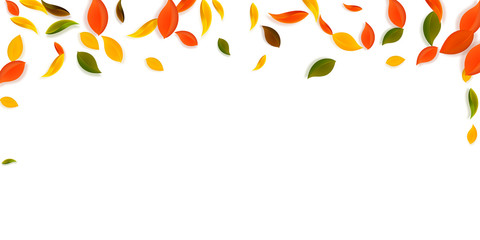 Obraz premium Falling autumn leaves. Red, yellow, green, brown c
