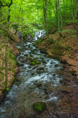 Fototapeta premium small waterfall in the forest