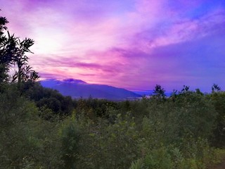 Спящая красавица