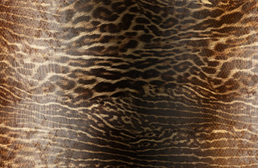 Leopard seamless pattern. Animal print.abstract, background, design, decoration for backdrop, drawing, graphic, elegance, illustration, zebra, leopard, giraffe, material, pattern, seamless