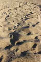 sea ​​sand abstract texture background