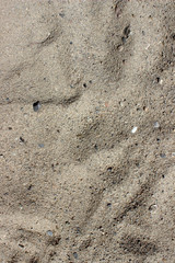 Fototapeta na wymiar sea ​​sand abstract texture background