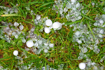 Hailstones on the grass of a green meadow after a heavy thunderstorm in summer

