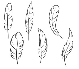 Set of hand drawn feathers different shapes in minimalistic monochrome cartoon style. Design elements isolated on white background. Vector illustration.