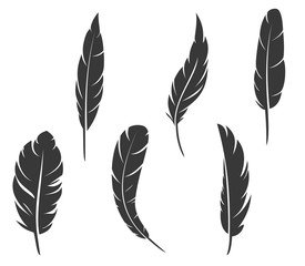 Set of hand drawn feathers different shapes in minimalistic monochrome cartoon style. Design elements isolated on white background. Vector illustration.