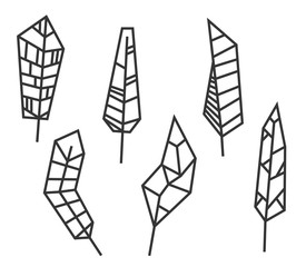 Set of hand drawn feathers different shapes in minimalistic geometric polygonal style. Design elements isolated on white background. Vector illustration.