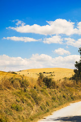 Rural landscape with meadows and country road, blue sky