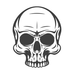 Vintage monochrome human skull isolated on white background. Hand drawn design element template for emblem, print, cover, poster. Vector illustration.