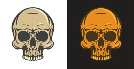 Vintage colorful human skull isolated on simple background. Bright hand drawn design element template for emblem, print, cover, poster. Vivid vector illustration.