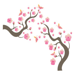 Sakura Beauty flower Vector icon illustration design