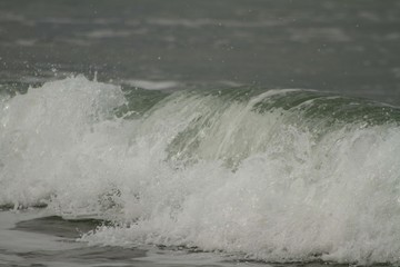 Small waves breaking off the West coast, New Zealand. 