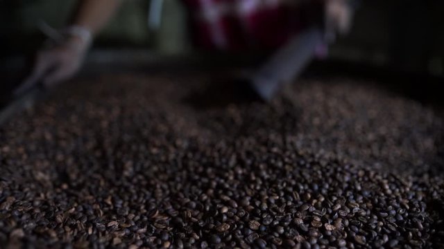 Processing coffee beans of arabica medium roasting