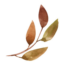 Watercolor twig with autumn dry leaves on a white background. Element of nature. Part of the tree. Season, object, holiday.
