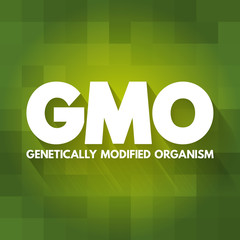 GMO - Genetically Modified Organism acronym, concept background
