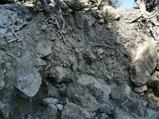 rocks, texture, light stones