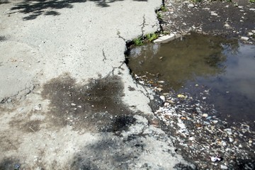 Cracked asphalt and a puddle.