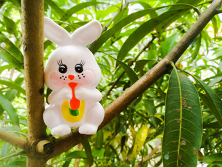 Toy Rabbit of small size in white color and have black eyes sitting in a tree