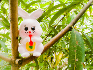 Toy Rabbit of small size in white color and have black eyes sitting in a tree.