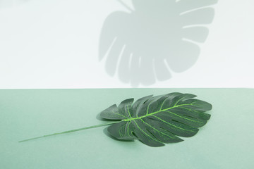 Mockup for the podium using artificial tropical green leaves. Horizontal orientation.